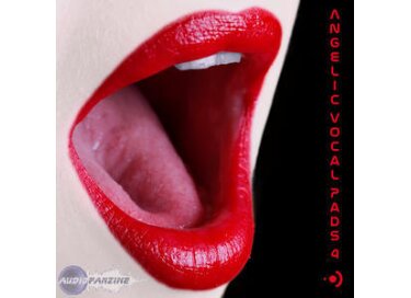 Precision Sound Angelic Vocal Pads 4