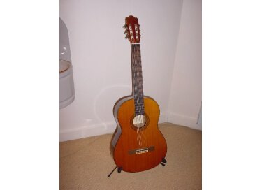 Yamaha G235