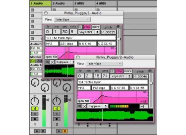 Ms Pinky Pinky Pluggo