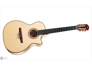 Taylor NS64CE