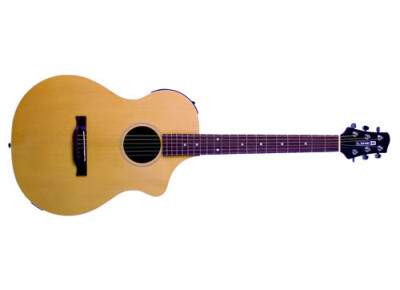 Line 6 Variax Acoustic 300 Steel