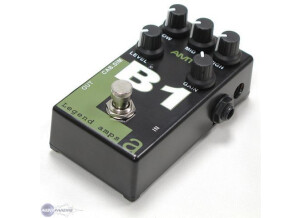 Amt Electronics B1 Bogner