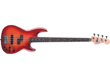 Fender Deluxe Zone Bass
