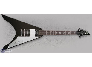 ESP Ninja