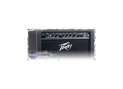 Peavey Audition 110