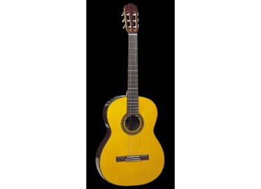 Takamine C132S