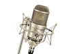 Neumann M 147 Tube