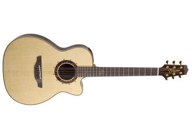 Takamine LTD2006 Tibetan Tantric