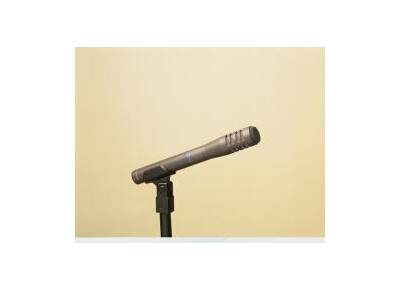 Audio-Technica ATM33