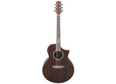 Ibanez EW20WNE