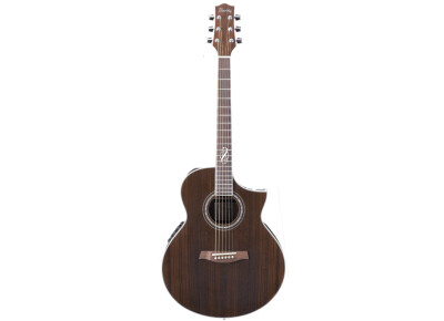 Ibanez EW20WNE