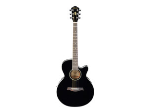 Ibanez AEG8E