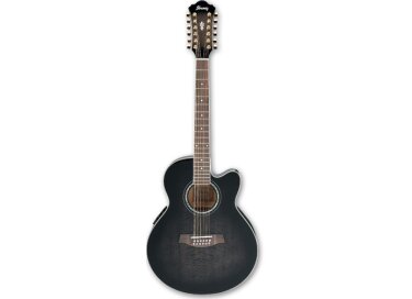 Ibanez AEL2012E