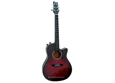Solec Jumbo Electro-Acoustique double mono