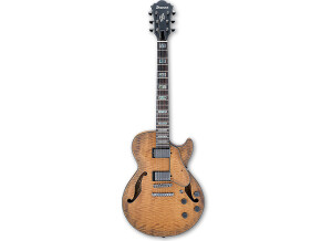 Ibanez AGS83B
