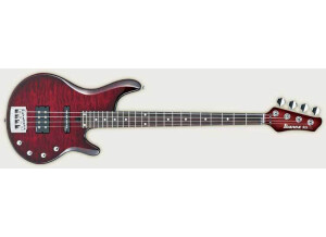 Ibanez RD500