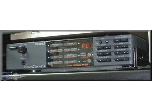Roland P-55