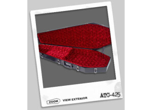 Coffin Case ATC425