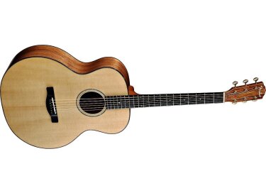 Fender ESM-10 E