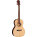 See the photo of the Fender GDP-100 Fender GDP-100