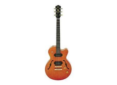 Yamaha AEX502