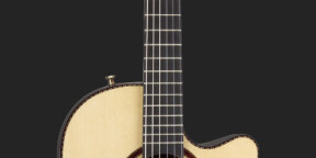 cherche Ovation 6773LX nylon