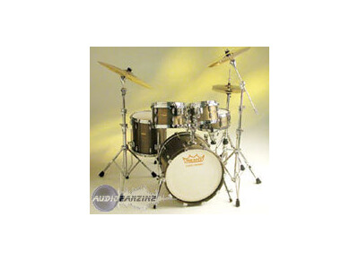 Remo Gold Crown Bronze