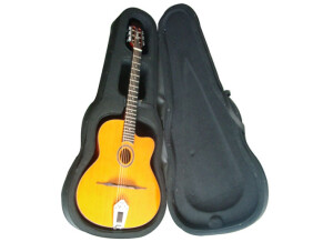 Richwood Guitars Manouche petite bouche