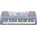 Voir la photo du Yamaha PSR-290 Yamaha PSR-290
