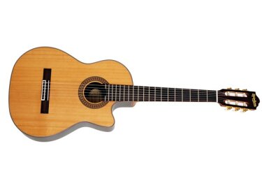 Epiphone Masterbilt EN-546CE