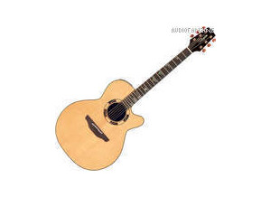 Takamine ESF93