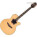 Voir la photo du Takamine ESF93 Takamine ESF93
