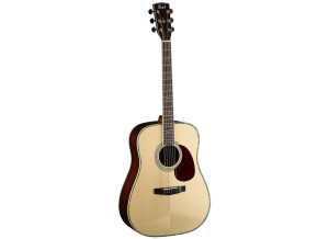 Cort Earth1500