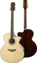 Hofner Guitars HA-JC07
