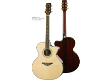 Hofner Guitars HA-JC05