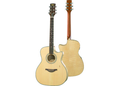 Hofner Guitars HA-GA05