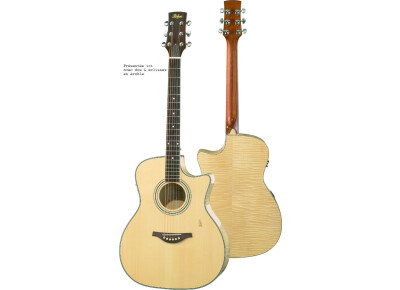 Hofner Guitars HA-GA07