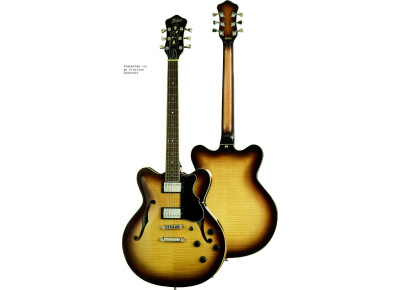 Hofner Guitars Verythin CT