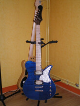 First Act Sheena CE240