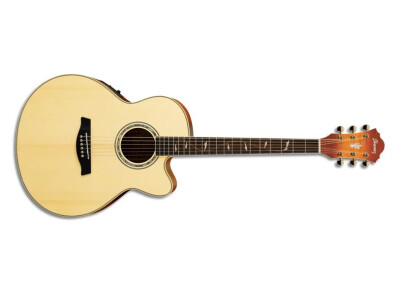 Ibanez AEL40SE