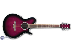 Daisy Rock Wildwood Artist Deluxe