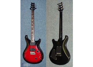 PRS Custom 24 Birds 10-Top