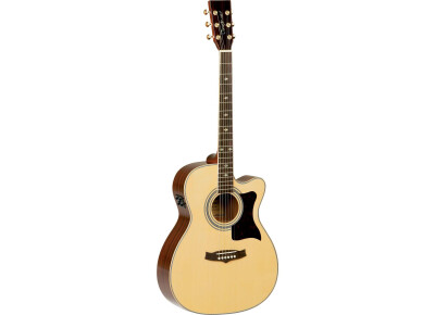 Tanglewood TW170 AS CE