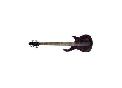 Peavey Millennium 5 BXP LH