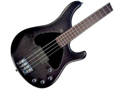 Sandberg (Bass) Basic 4