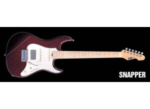 ESP Snapper