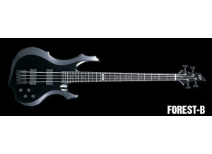 ESP Forest-B