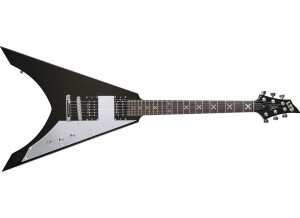LTD Ninja-600 Michael Amott