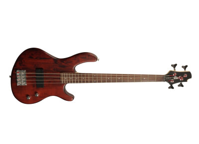 Cort Action Junior