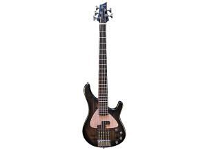 Sandberg (Bass) Basic PM 5